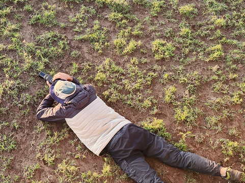 Soke Safari-阿鲁沙必去景点