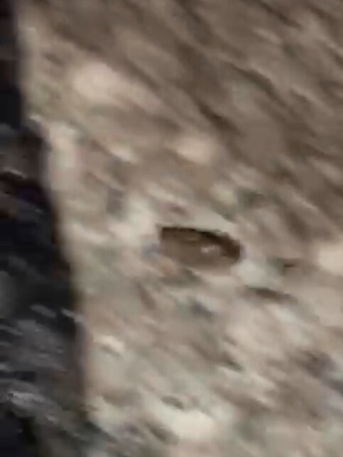 维瑟维尔华美达酒店主图