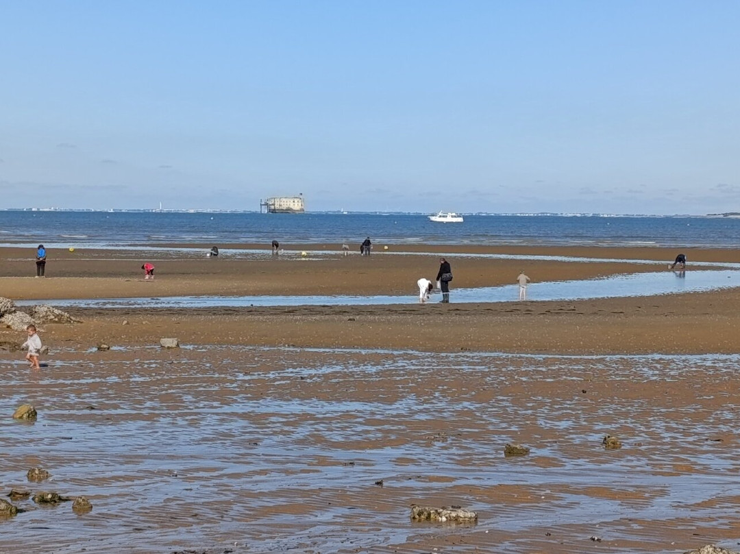Plage De Boyardville景点图片