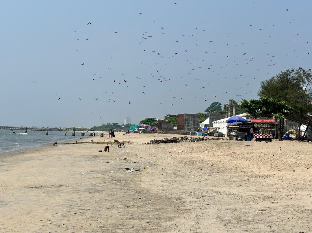 Kozhikode Beach-科泽科德必去景点