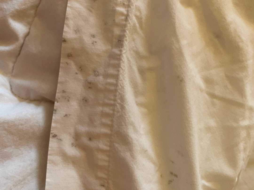 Americinn By Wyndham Saint Cloud West主图