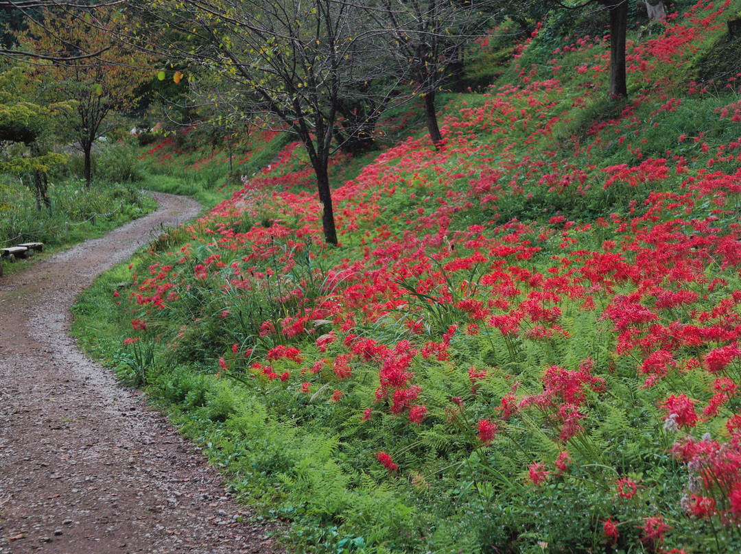Yukiguni Garden Park-长冈市必去景点