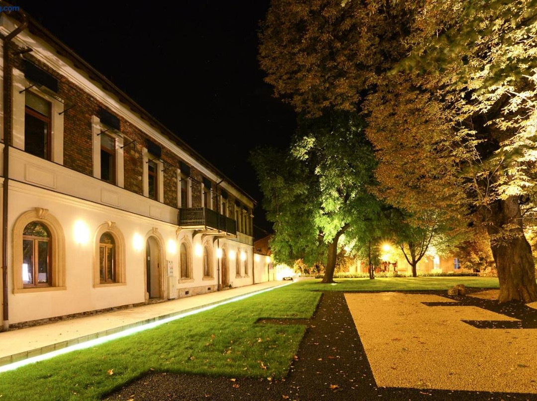 The Nest Baia Mare