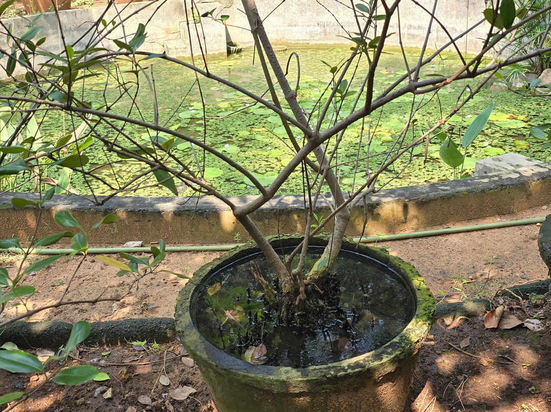 Biodiversity Park - Botanical Garden Visakhapatnam景点图片