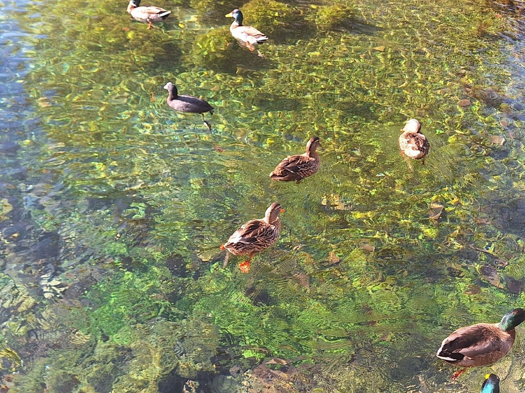 Lago di Posta Fibreno-Posta Fibreno必去景点