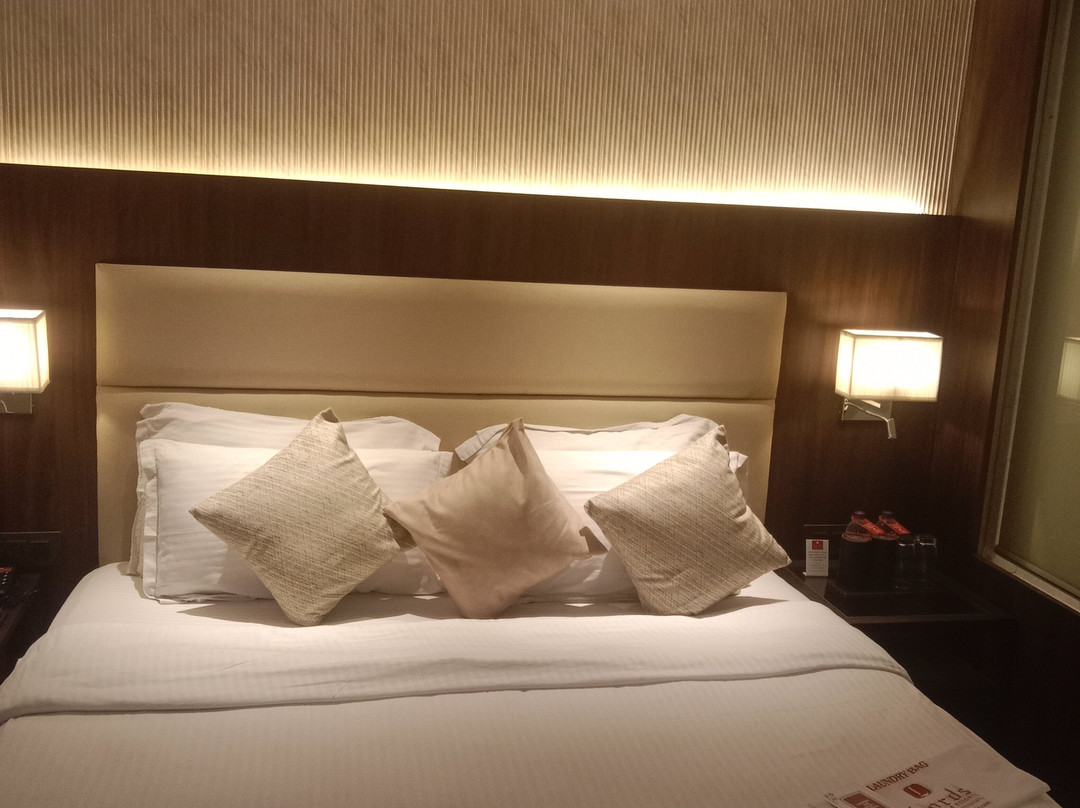 苏拉特洛兹广场酒店、主图