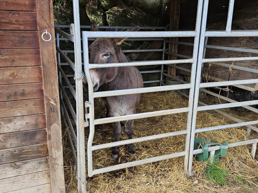 La Petite Finlande主图