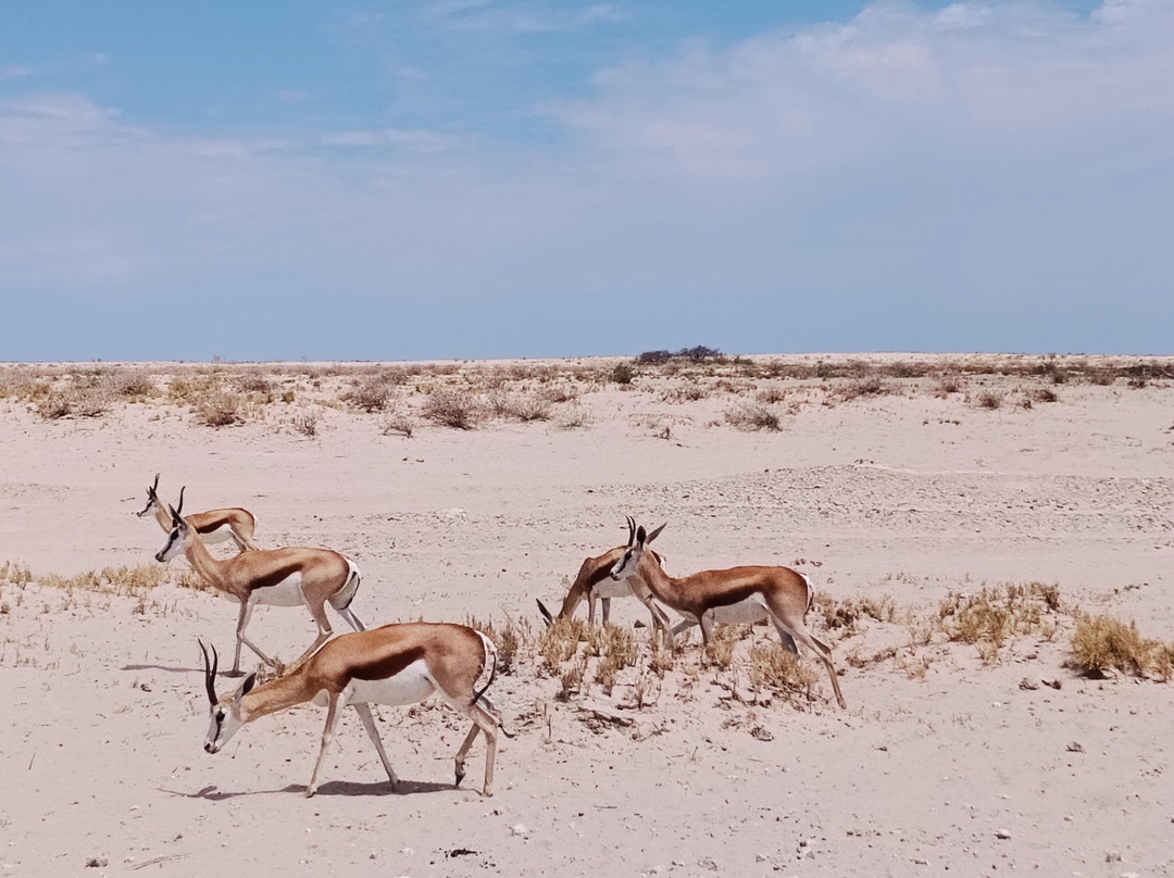 Goldwing Tourism-温德和克必去景点