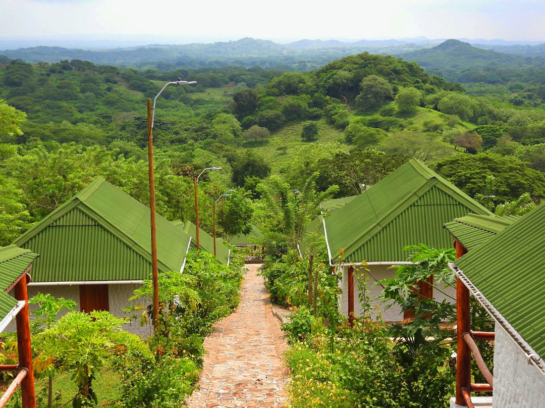 Ecohotel Summer