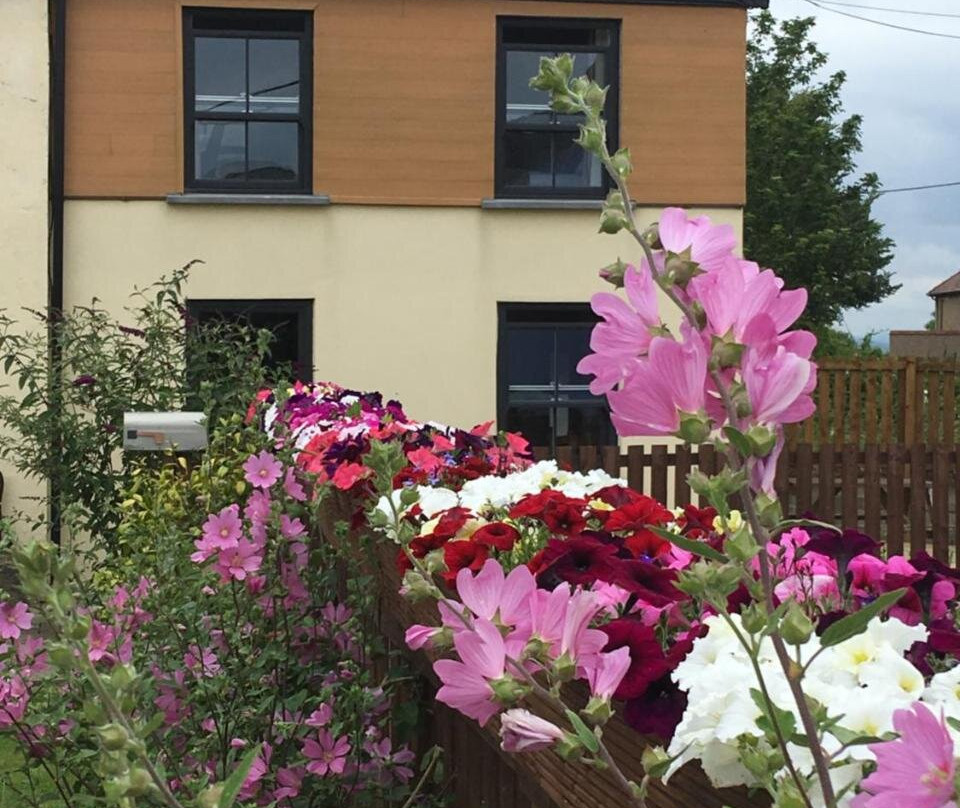 Willow Mews