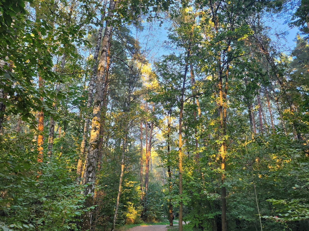 Meshherskiy Park景点图片