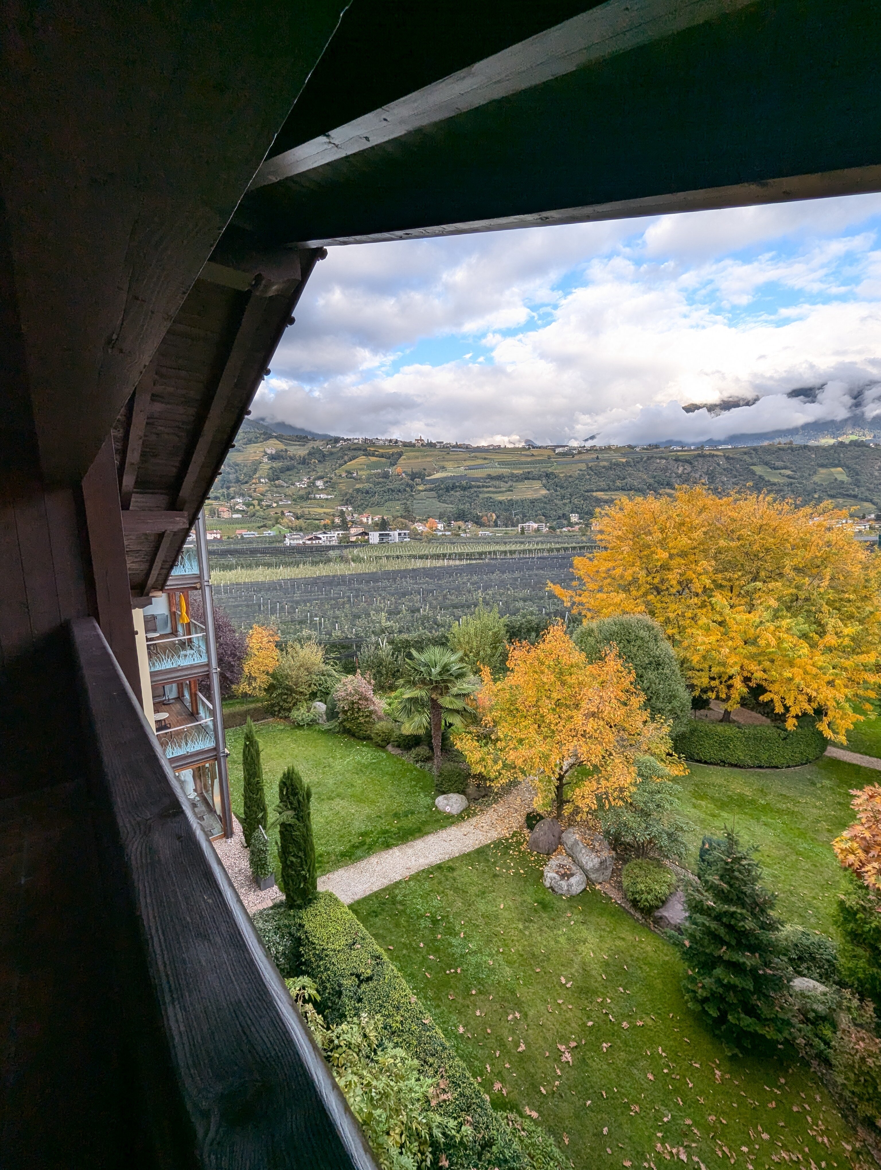 Hotel Wiesenhof-酒店景观