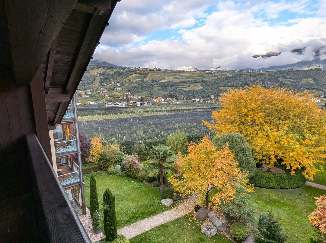 Hotel Wiesenhof主图