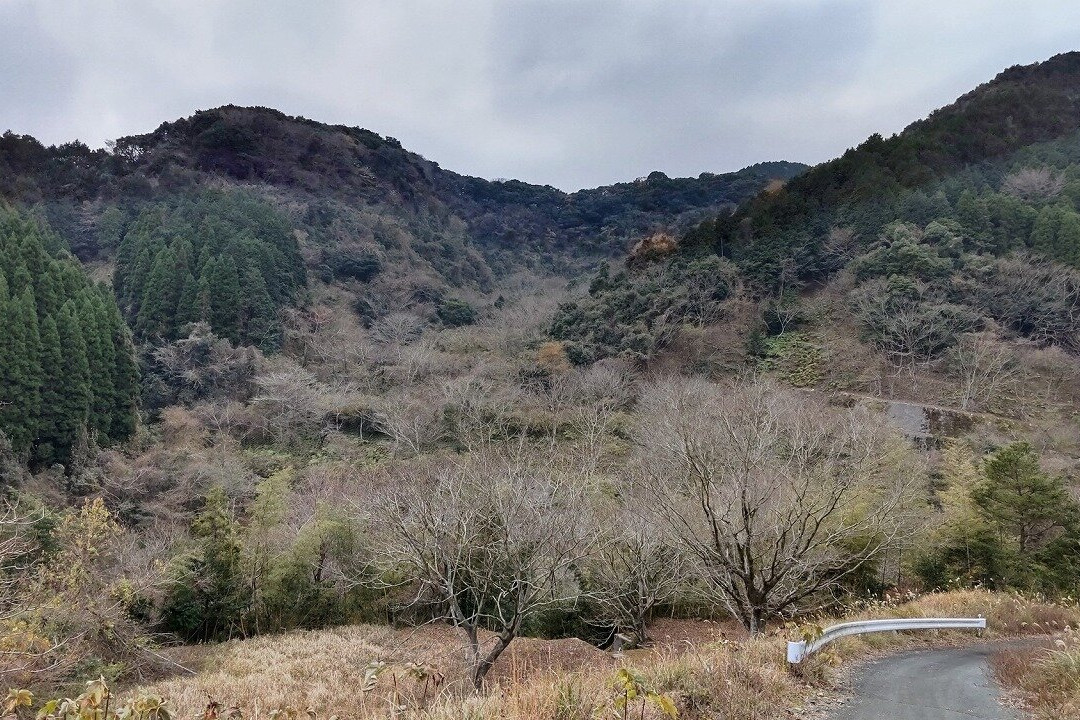 Inunakigo Annex景点图片