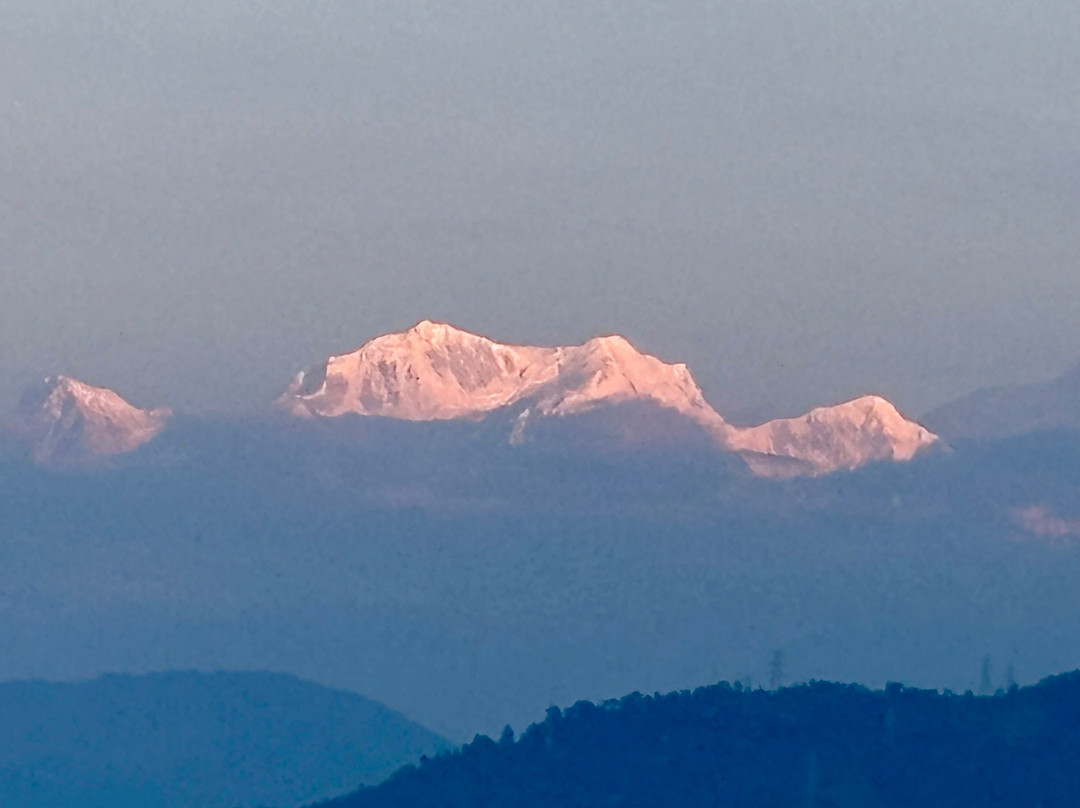 Glenburn Tea Estate主图