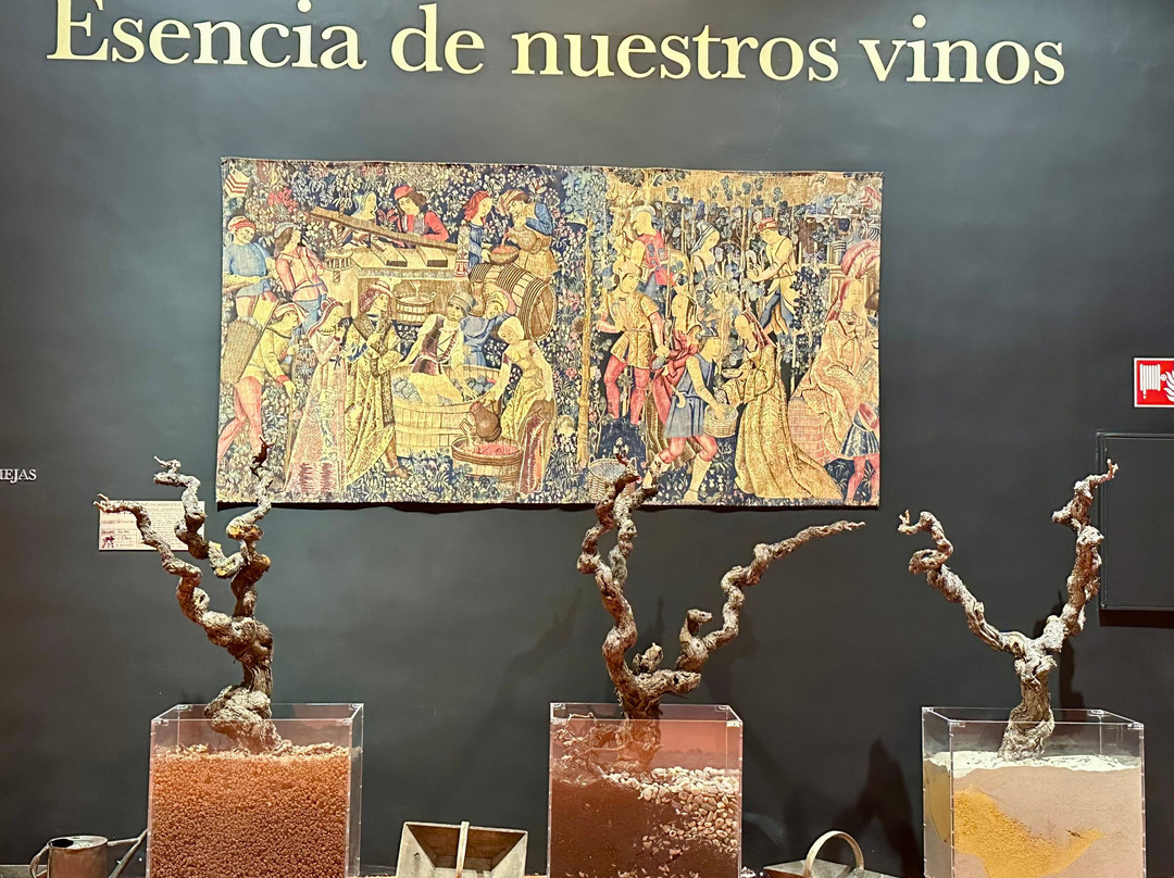 Bodegas Marqués De Cáceres-Cenicero必去景点