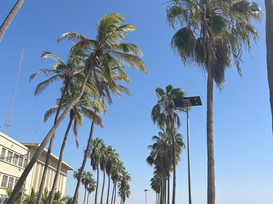 Amazing Teranga-达喀尔必去景点