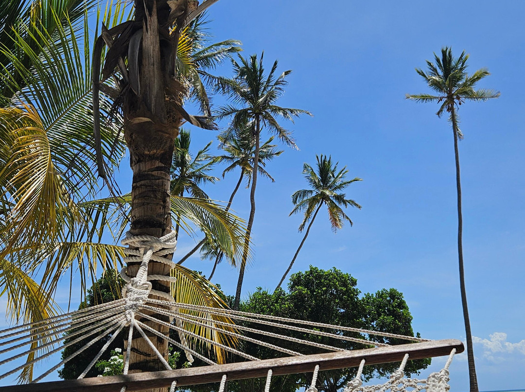 The Residence Zanzibar主图