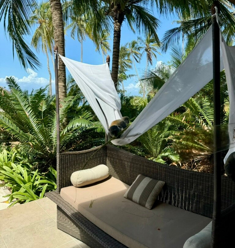 The Residence Zanzibar主图