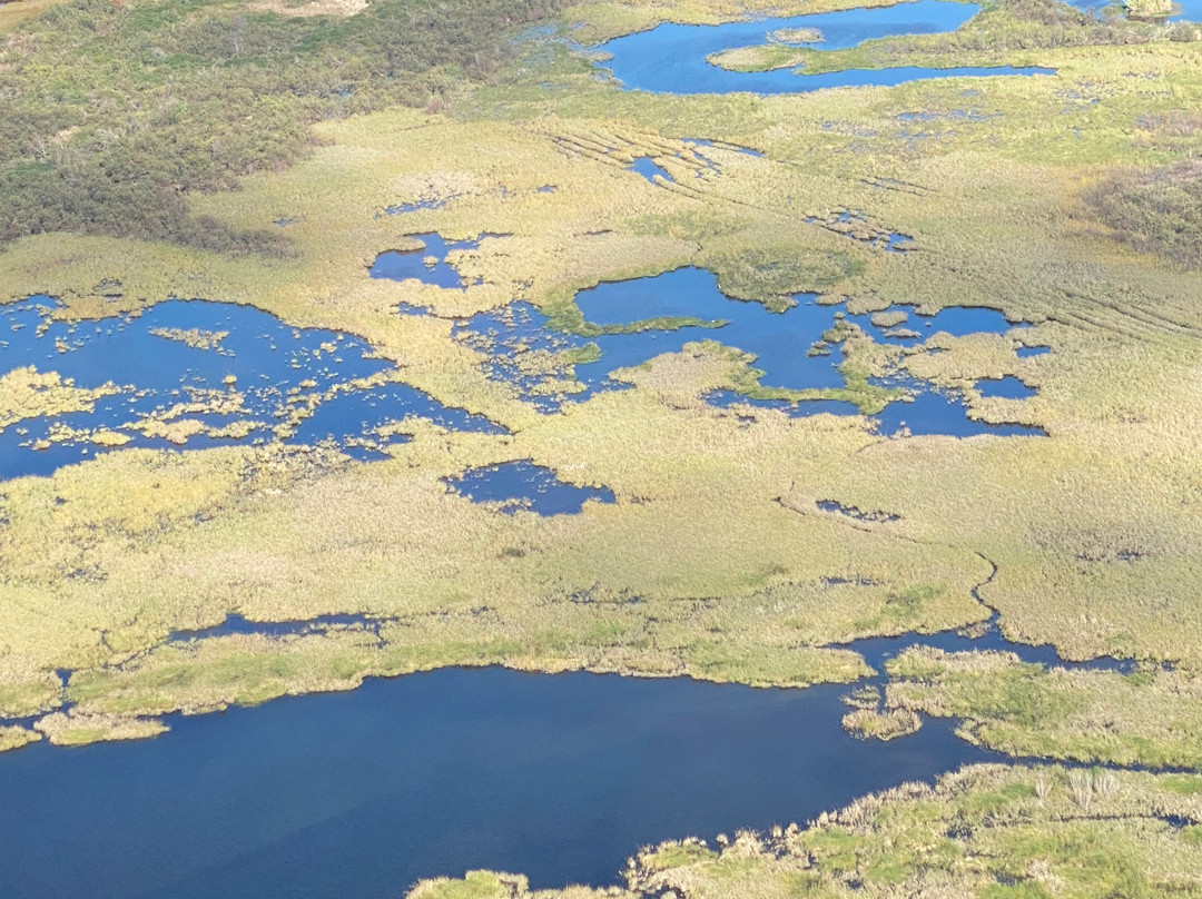 San Jacinto Battleground State Historic Site-拉波特必去景点