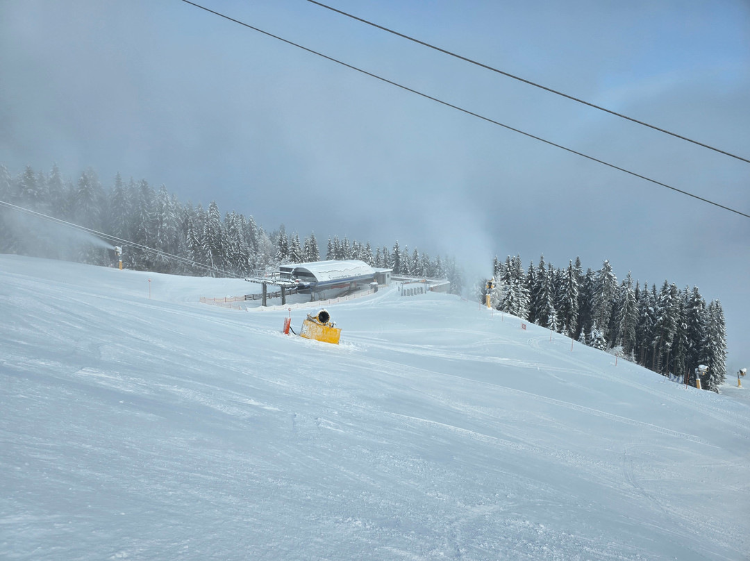 Skigebiet Großarltal-Dorfgastein-果斯萨尔必去景点