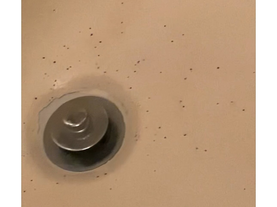 皇家豪斯特贝斯特韦斯特酒店主图