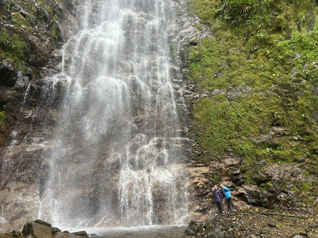 Aventuras Neotropicales景点图片