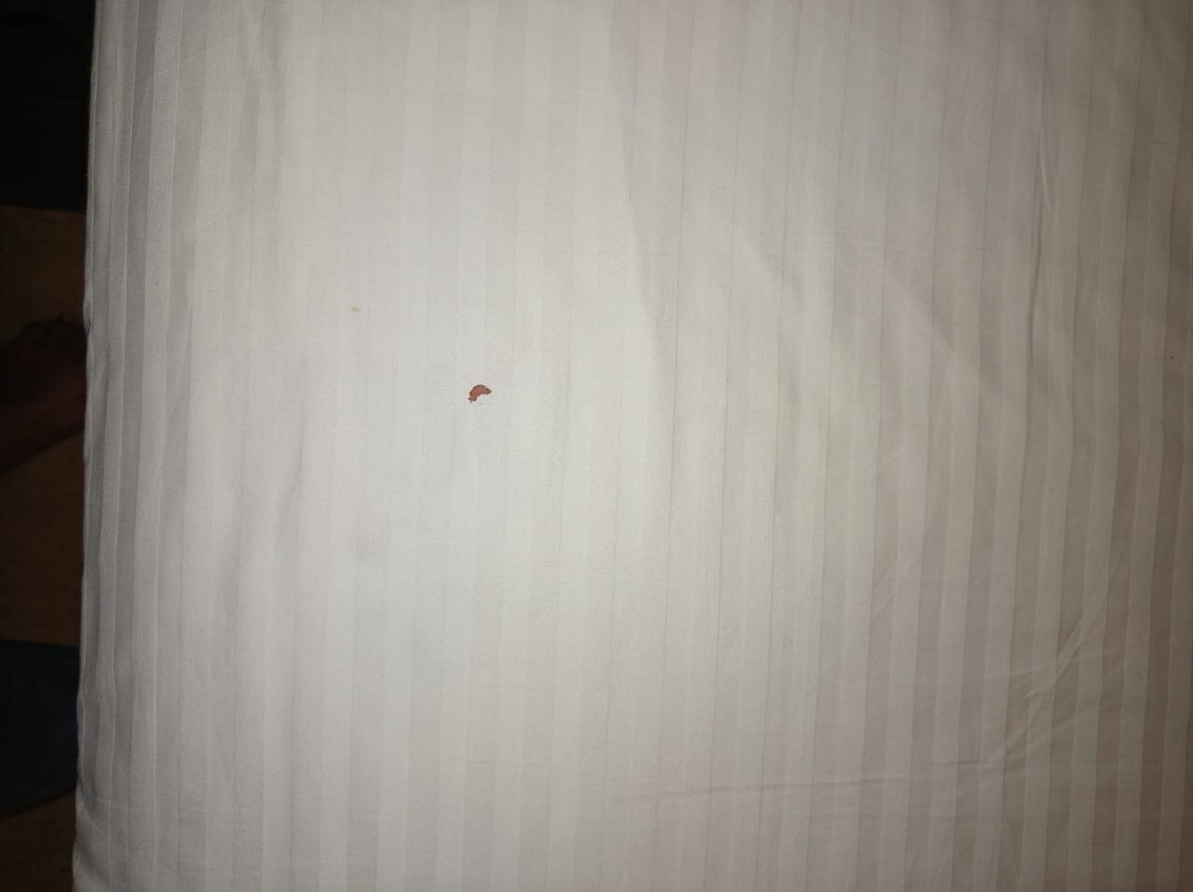 Avenra Gangaara Hotel主图