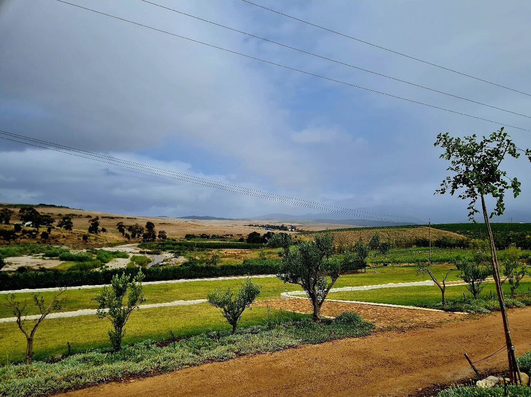 Beaumont Family Wines-Botrivier必去景点