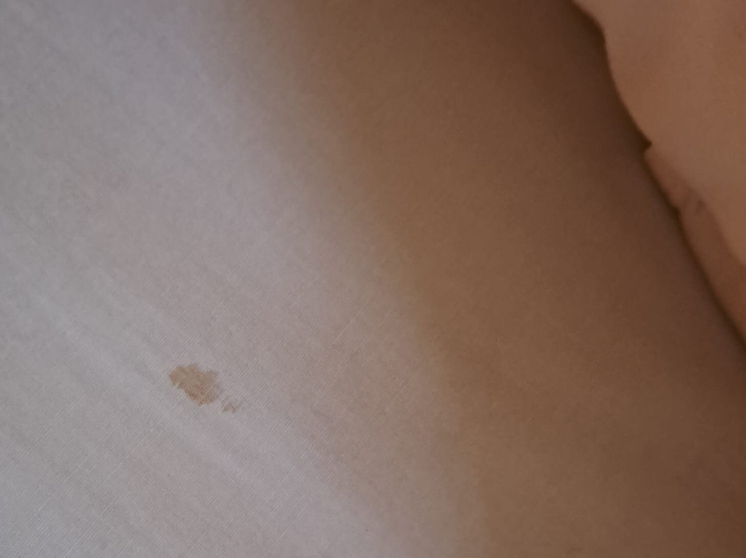 Clandestino Beach Resort主图