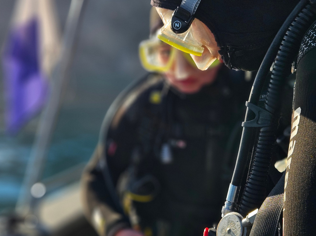 Mega Dive - Actividades Turisticas-塞新布拉必去景点