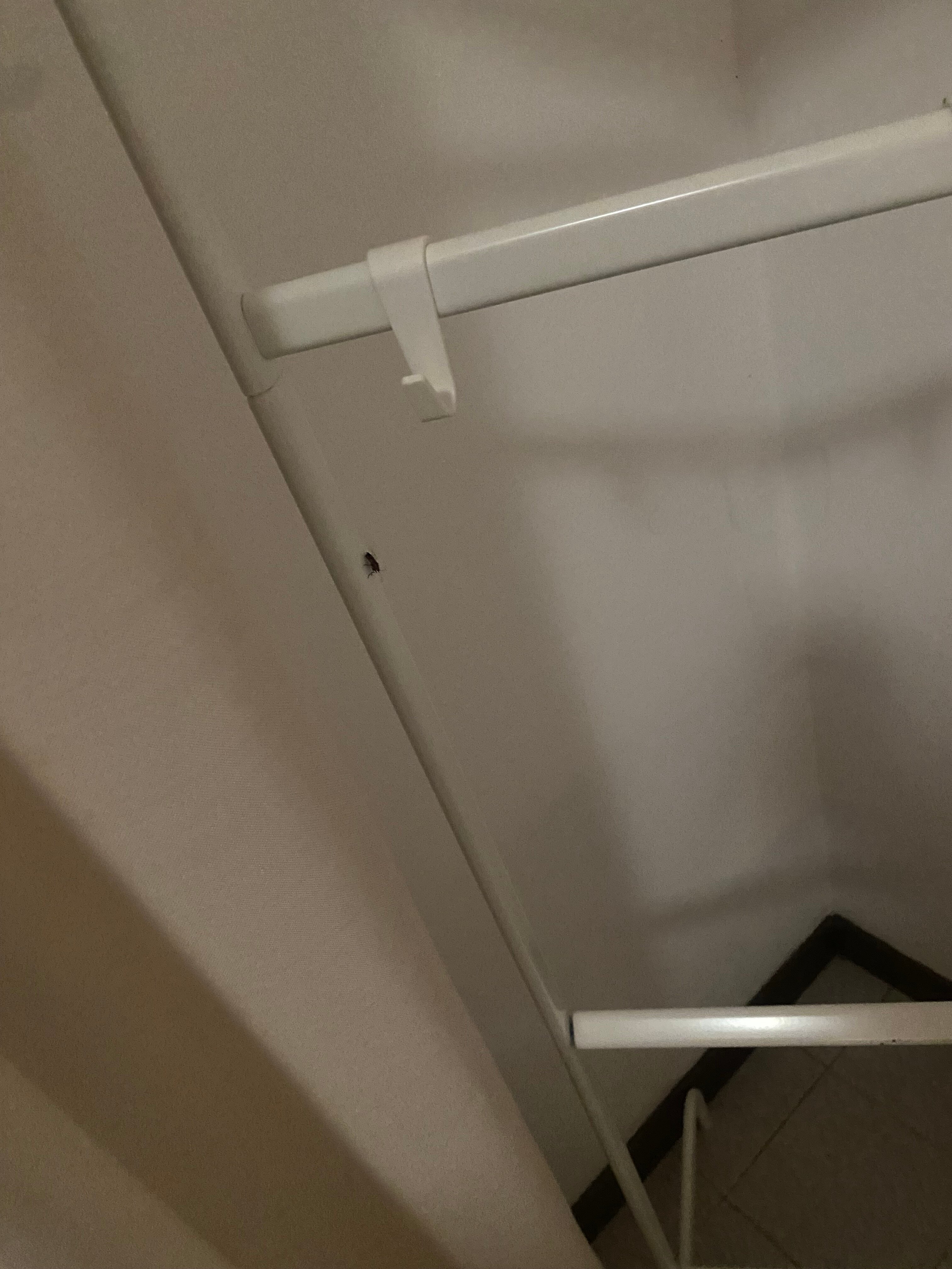 Albergo Diffuso Balcone sul Friuli-官方