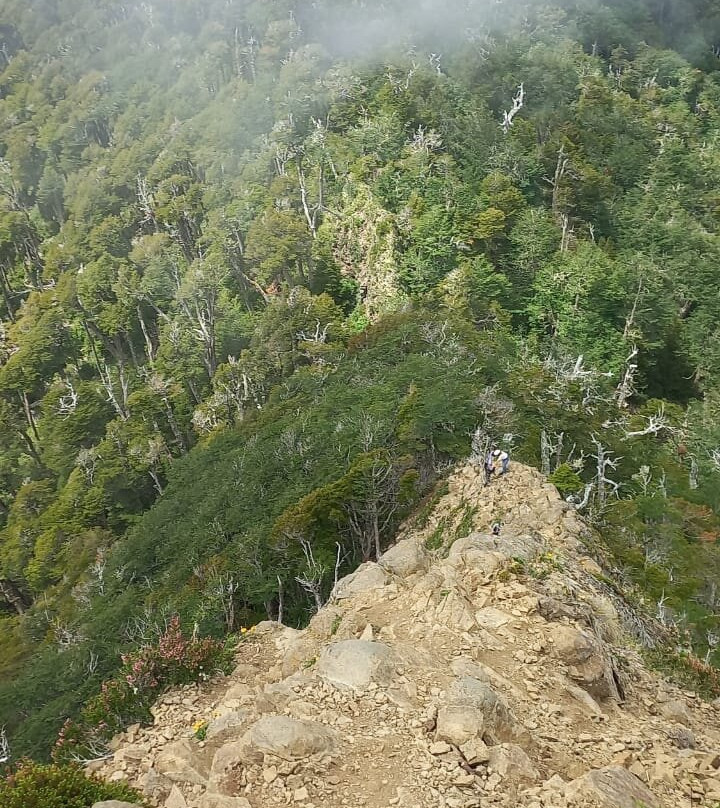 Parque Pico Toribio-Futrono必去景点