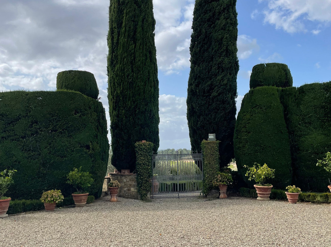 Fattoria di Montecchio景点图片