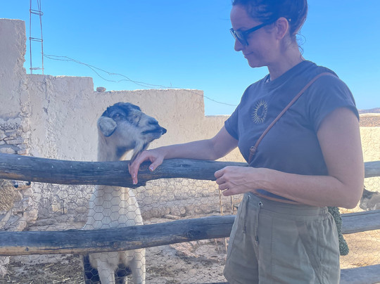 Sun Surf Yoga Beach Holiday-阿加迪尔必去景点