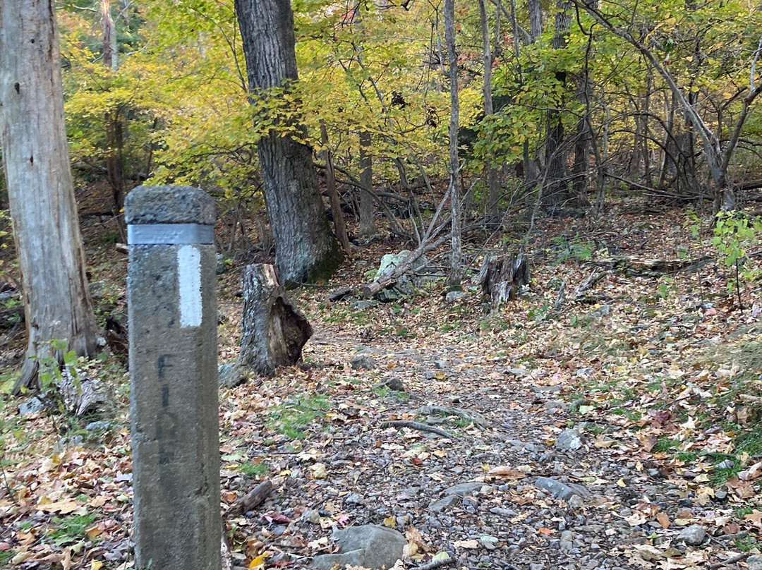Lewis Falls Trail-雪兰多国家公园必去景点