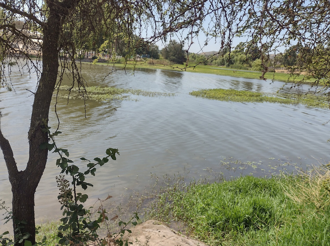 Entre Monos & Birras