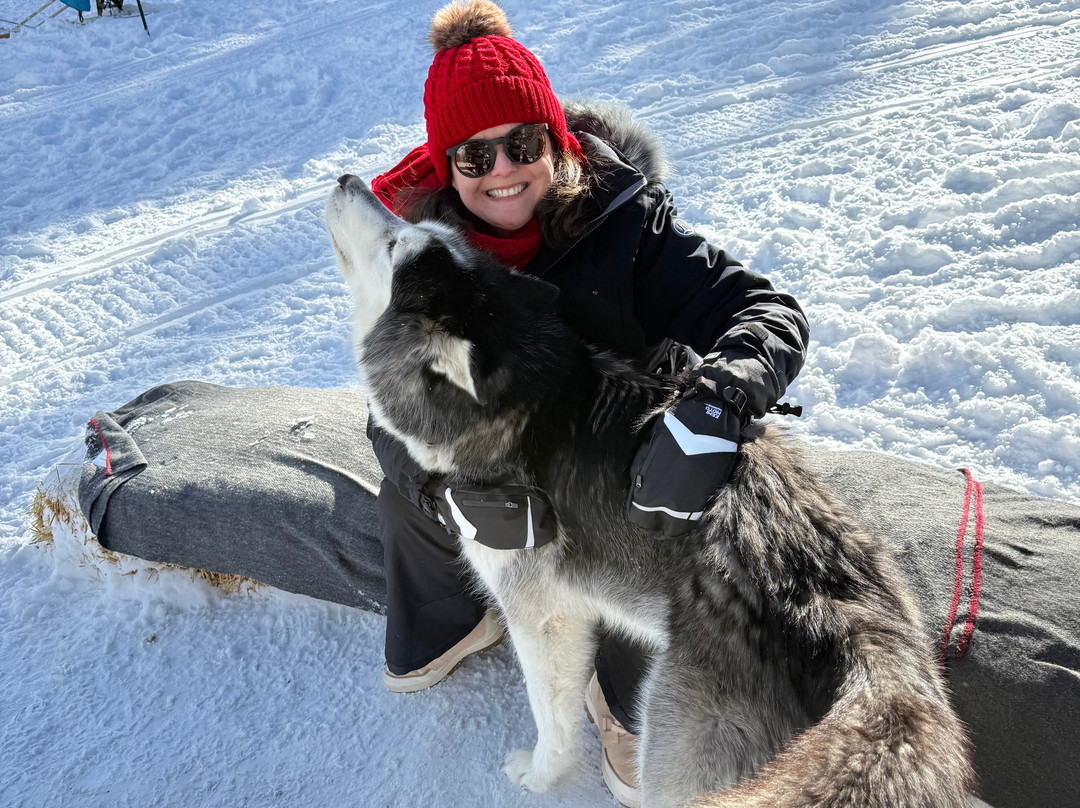 Yellowstone Dog Sled Adventures-西黄石镇必去景点