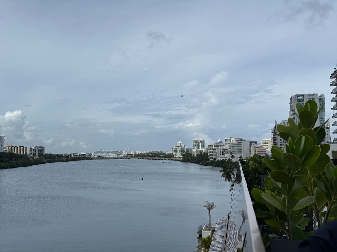 O:LV Fifty Five主图