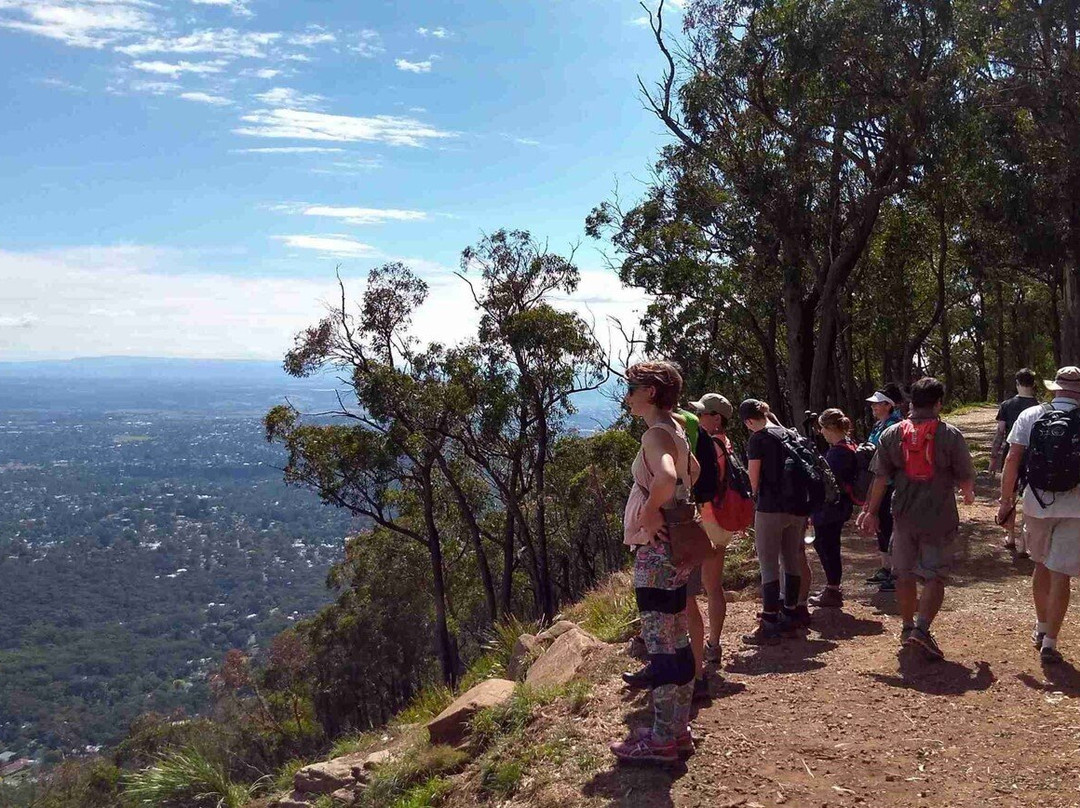 Hike Tribe-墨尔本必去景点