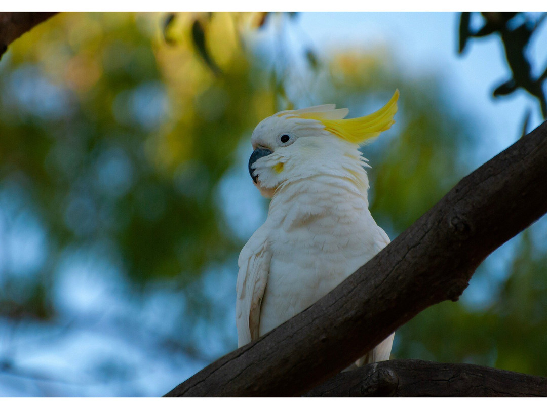 Balyang Sanctuary-季隆必去景点