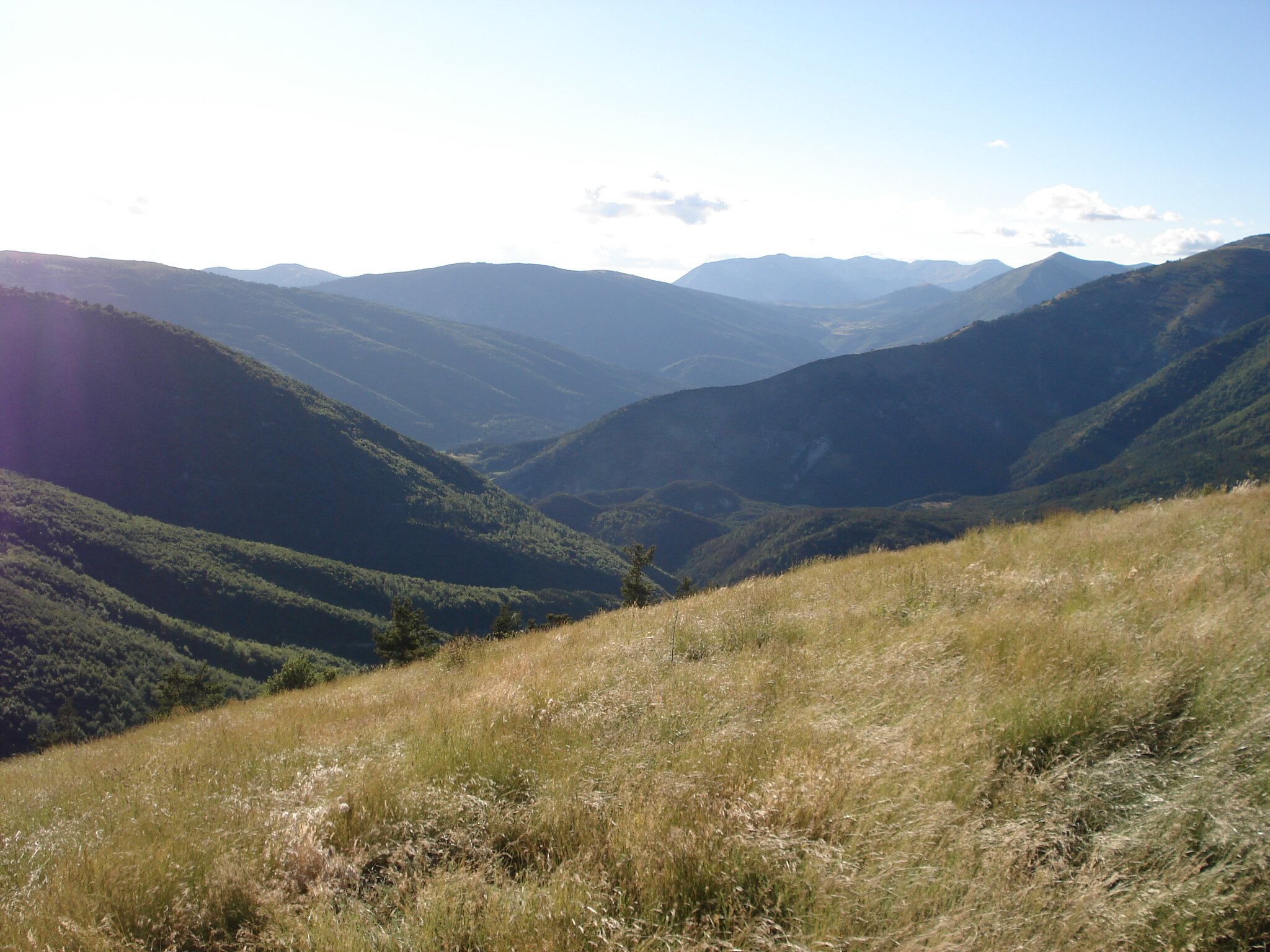 Refuge de Roncharel-官方