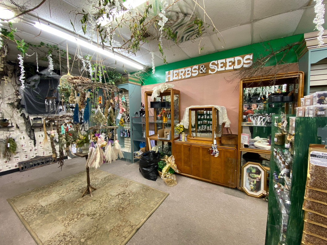 Mels Candles-罗拉必去景点