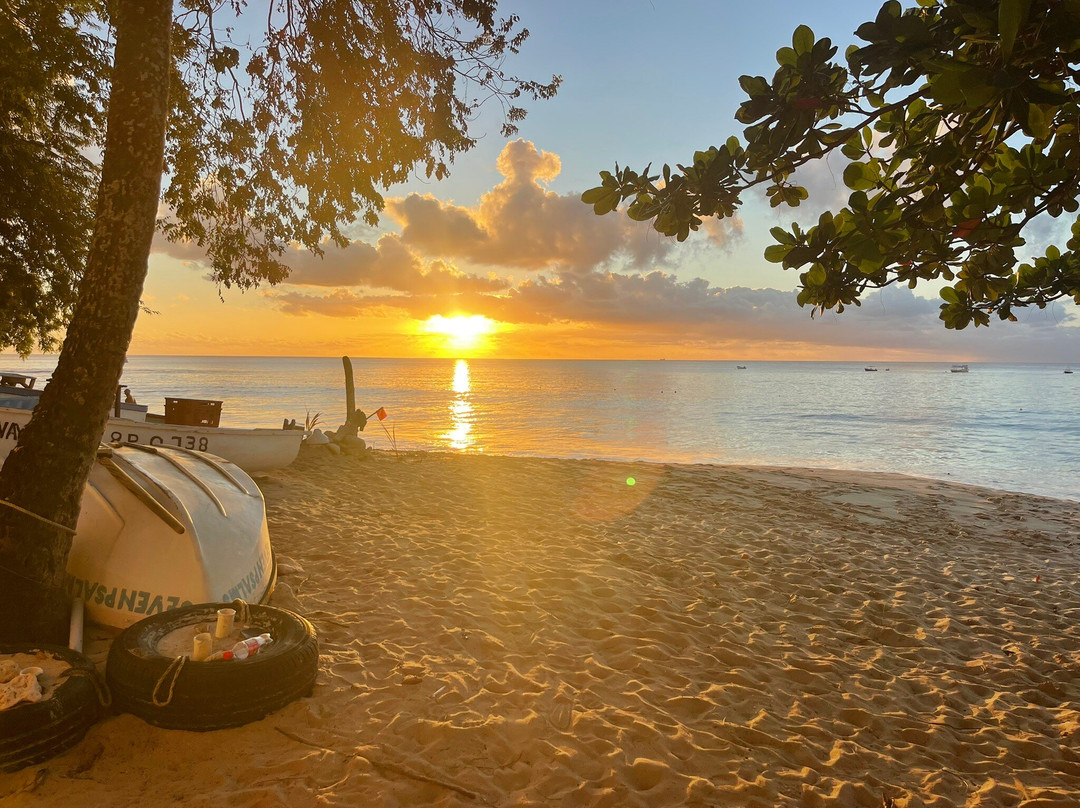 Jerry The Beach Man Sun Loungers