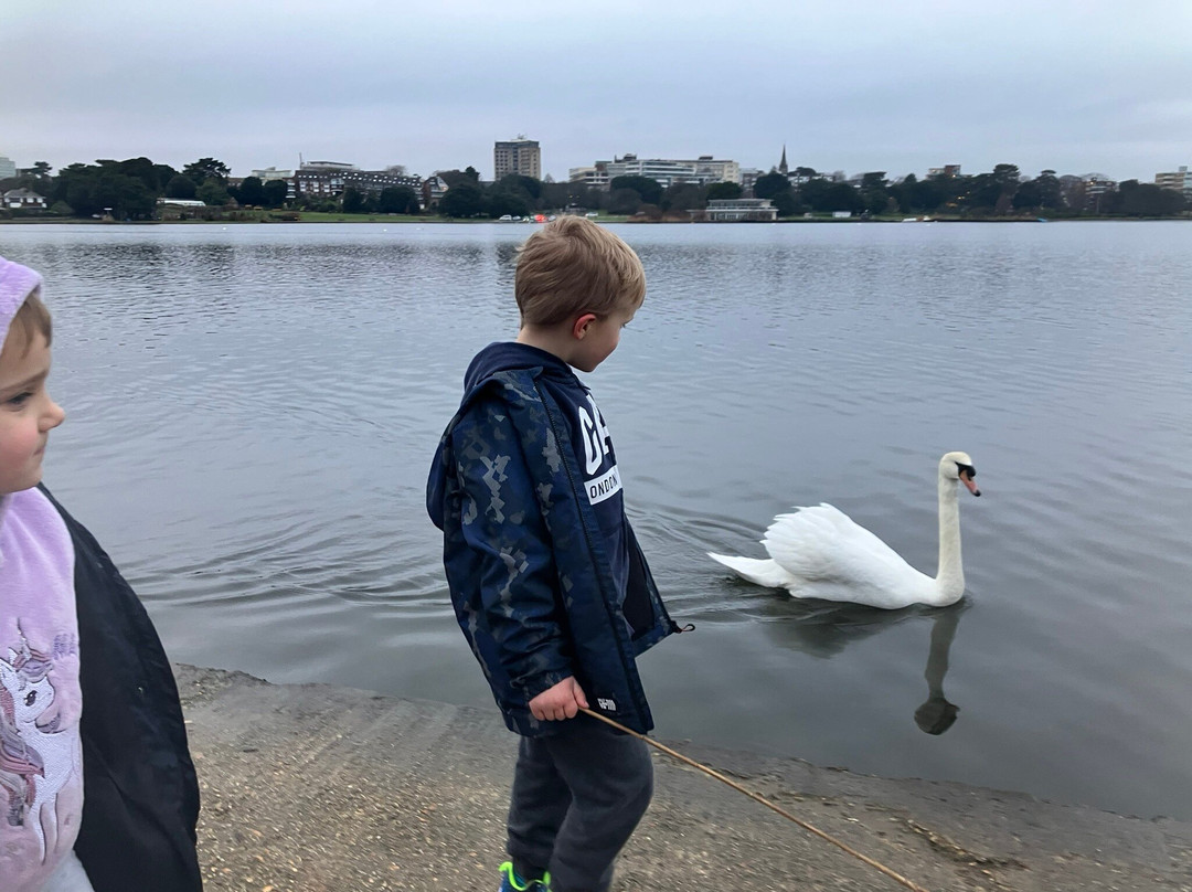 Poole Park-普尔必去景点