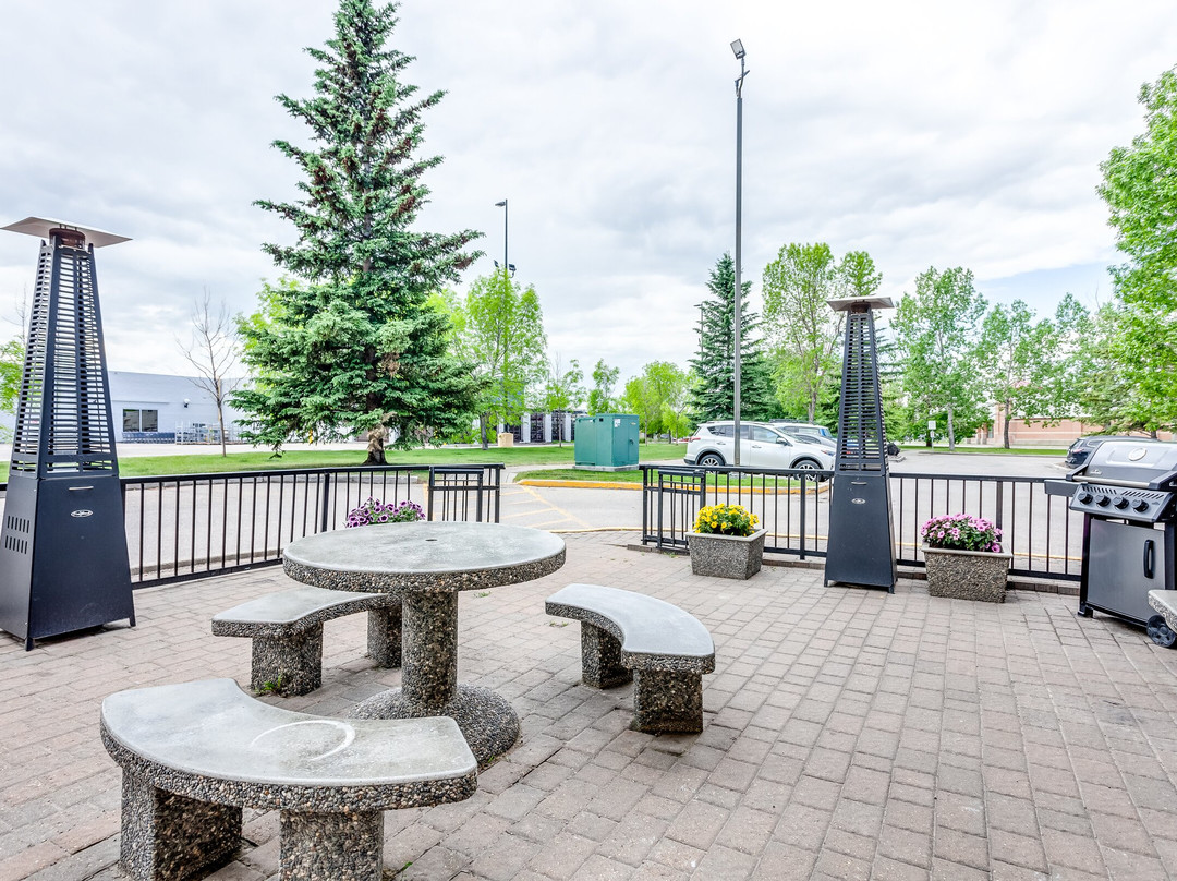 Super 8 by Wyndham Calgary Shawnessy Area主图