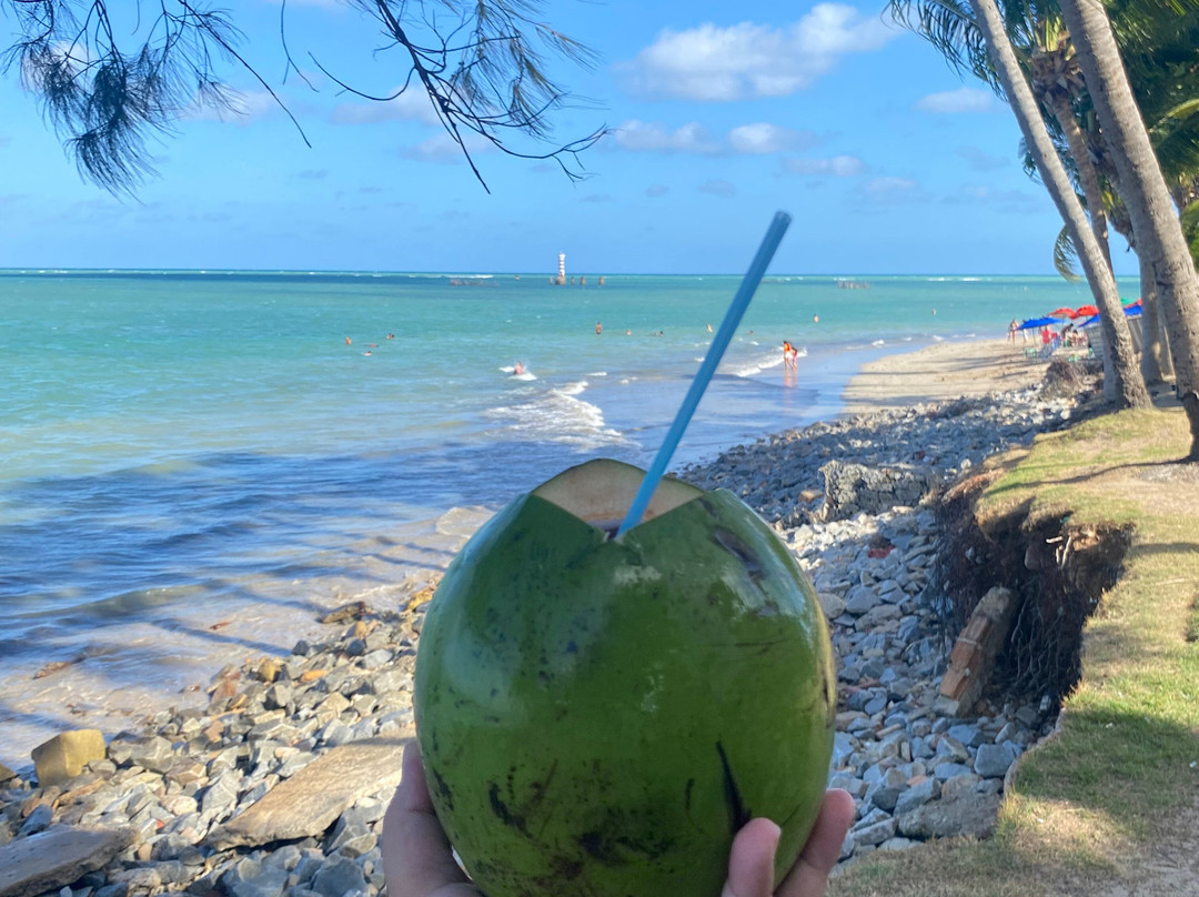 Maré Viva Passeios Turísticos-Maceio必去景点