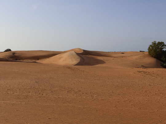 Sogui  tours senegal-达喀尔必去景点