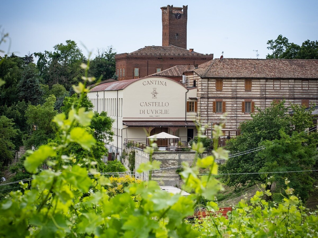 Cantina Castello Di Uviglie景点图片