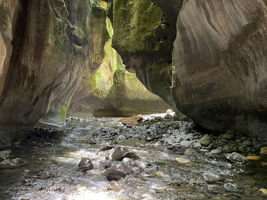 Patuna Farm Adventures景点图片